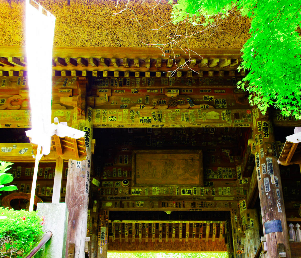 杉本寺と春。第一番札所。 杉本寺と春。第一番札所。