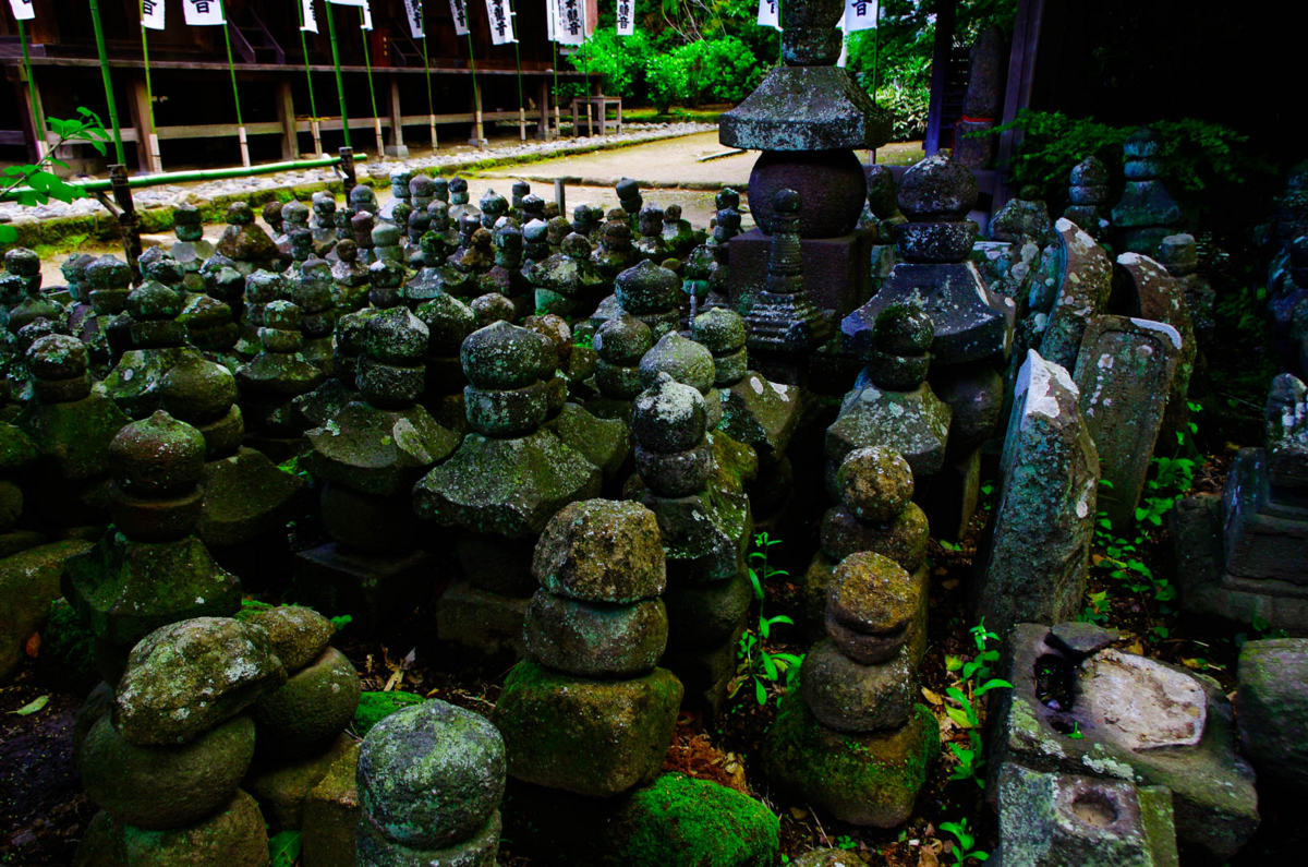 杉本寺と春。第一番札所。 杉本寺と春。第一番札所。