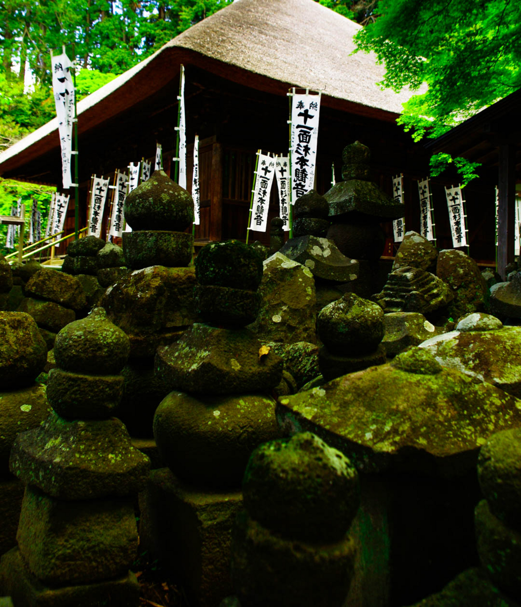 杉本寺と春。第一番札所。 杉本寺と春。第一番札所。