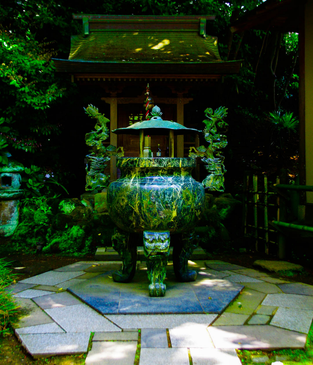 杉本寺と春。第一番札所。 杉本寺と春。第一番札所。
