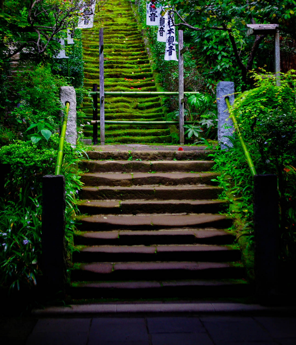 杉本寺と春。第一番札所。 杉本寺と春。第一番札所。