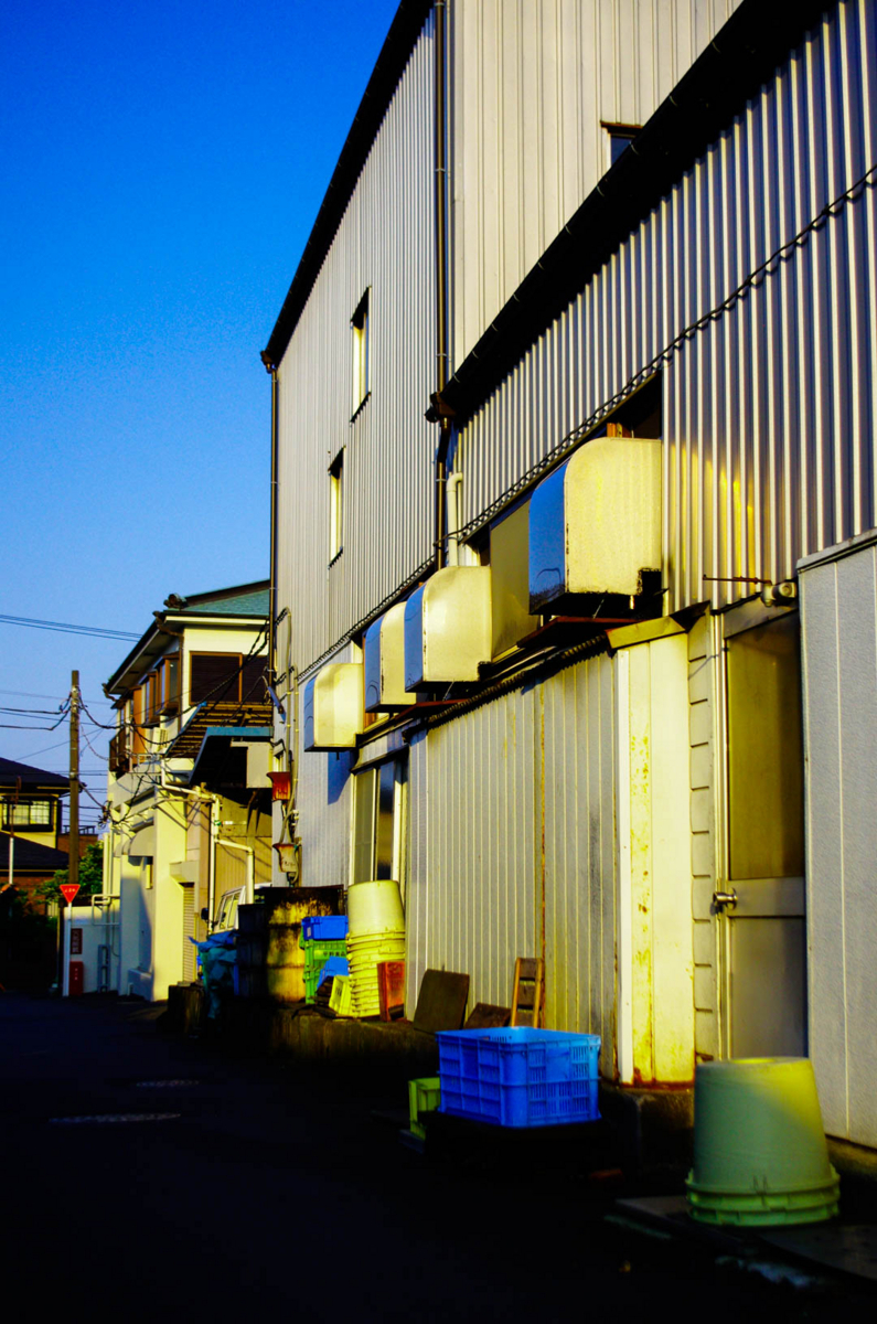 平塚市とアジサイを(ポタリング6月と街角の自然) 平塚市とアジサイを(ポタリング6月と街角の自然)