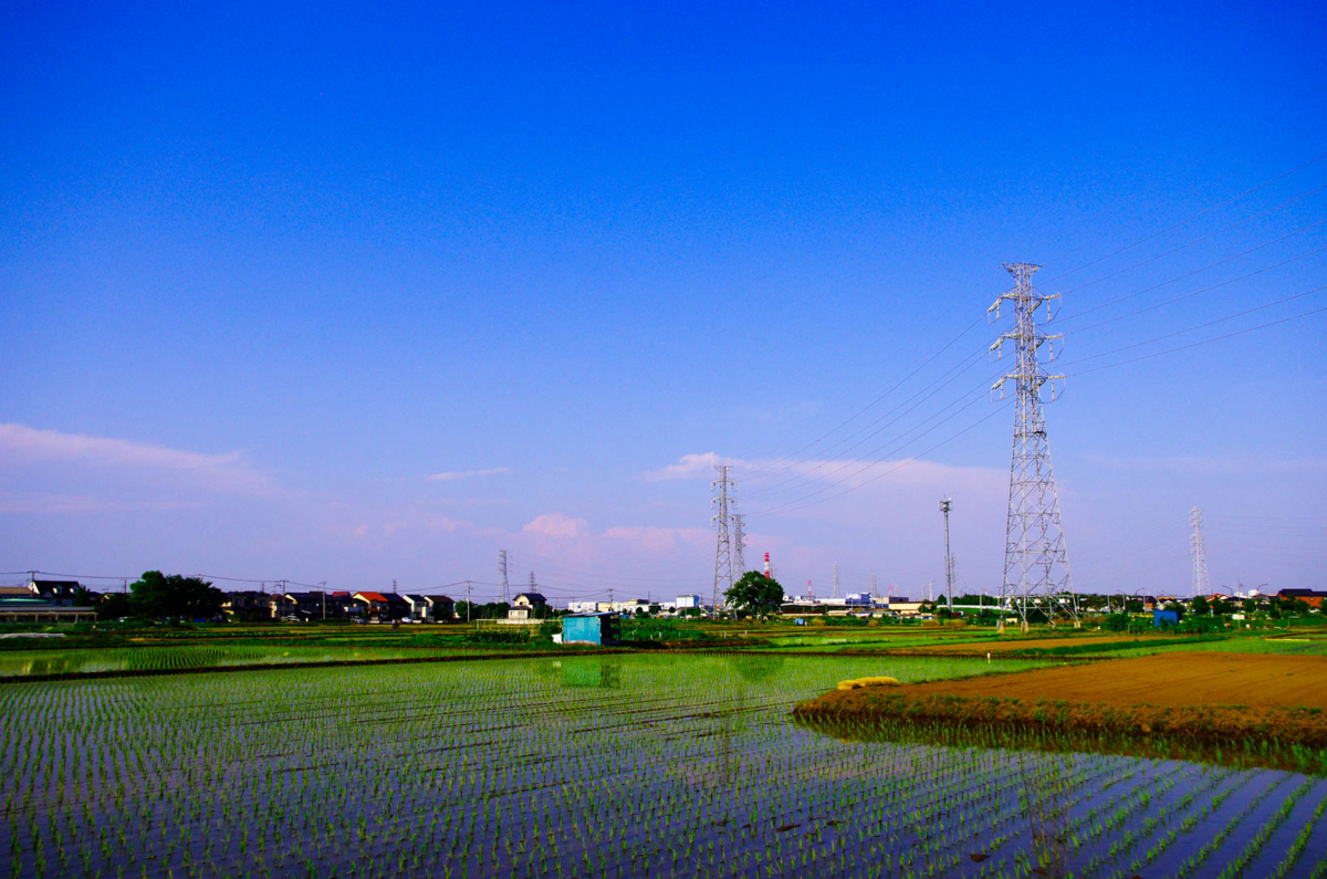 平塚市(豊田)らへんの田園風景(水田を渡る風が気持ちいいよん) 平塚市(豊田)らへんの田園風景(水田を渡る風が気持ちいいよん)