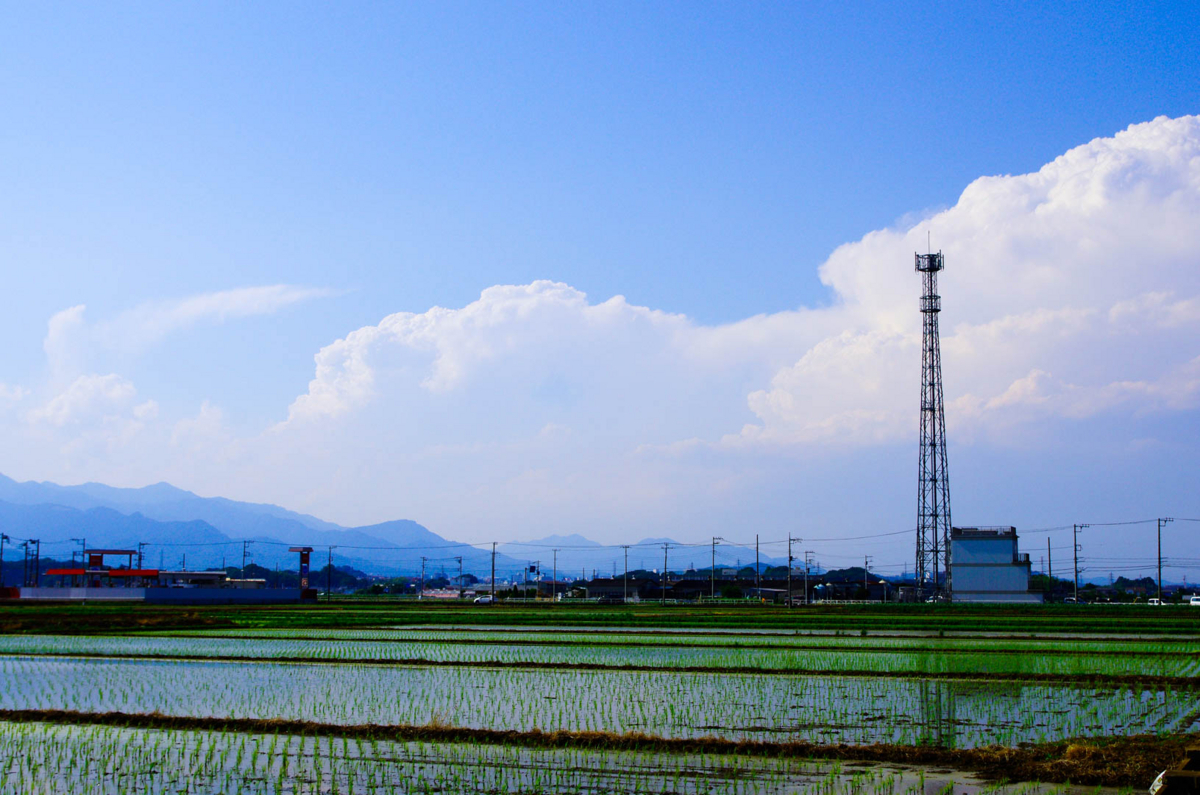 平塚市(豊田)らへんの田園風景(水田を渡る風が気持ちいいよん) 平塚市(豊田)らへんの田園風景(水田を渡る風が気持ちいいよん)