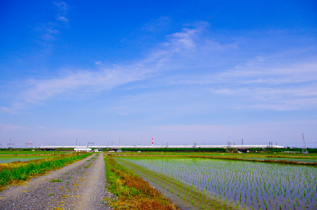 平塚市(豊田)らへんの田園風景(水田を渡る風が気持ちいいよん) 平塚市(豊田)らへんの田園風景(水田を渡る風が気持ちいいよん)