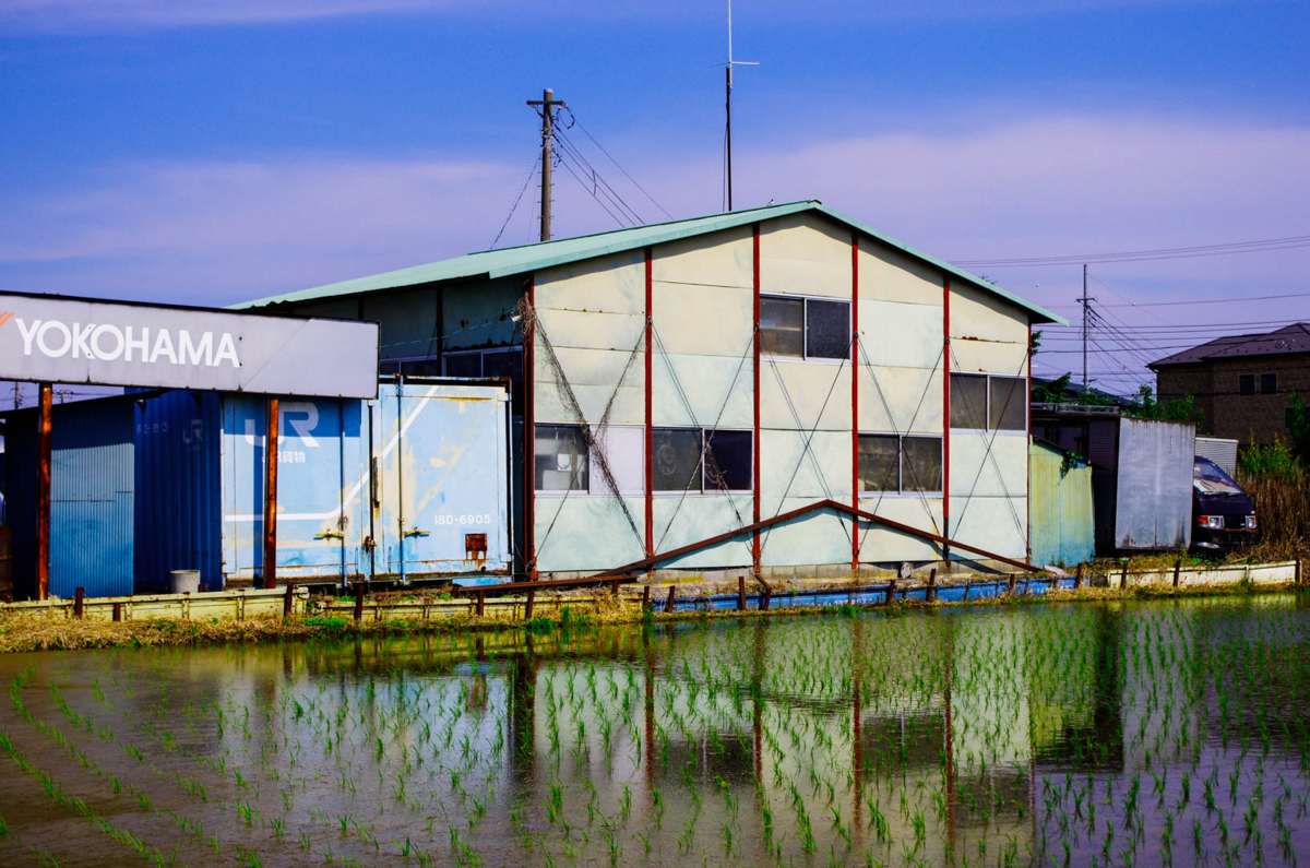 平塚市(豊田)らへんの田園風景(水田を渡る風が気持ちいいよん) 平塚市(豊田)らへんの田園風景(水田を渡る風が気持ちいいよん)