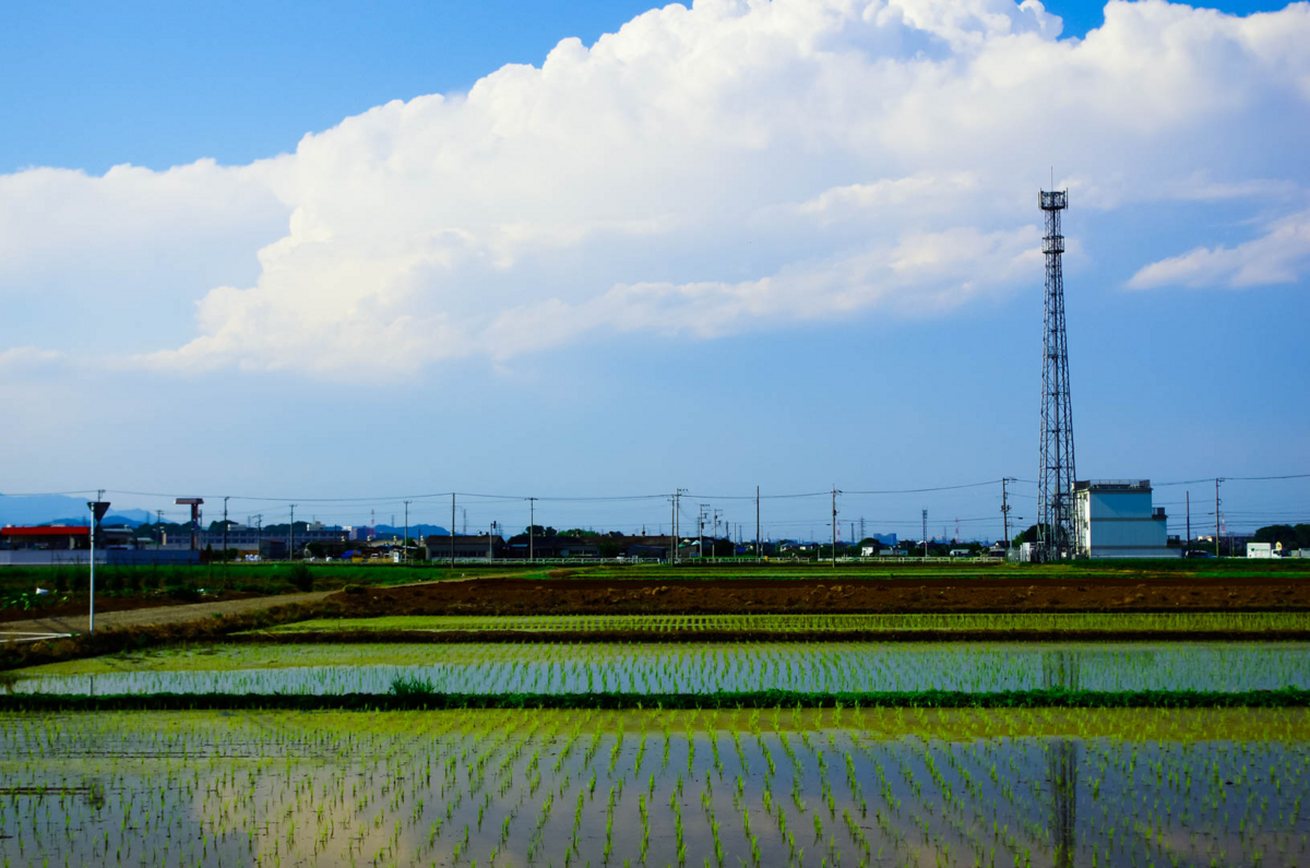 今日も何もできなかったという幸せの量産 今日も何もできなかったという幸せの量産