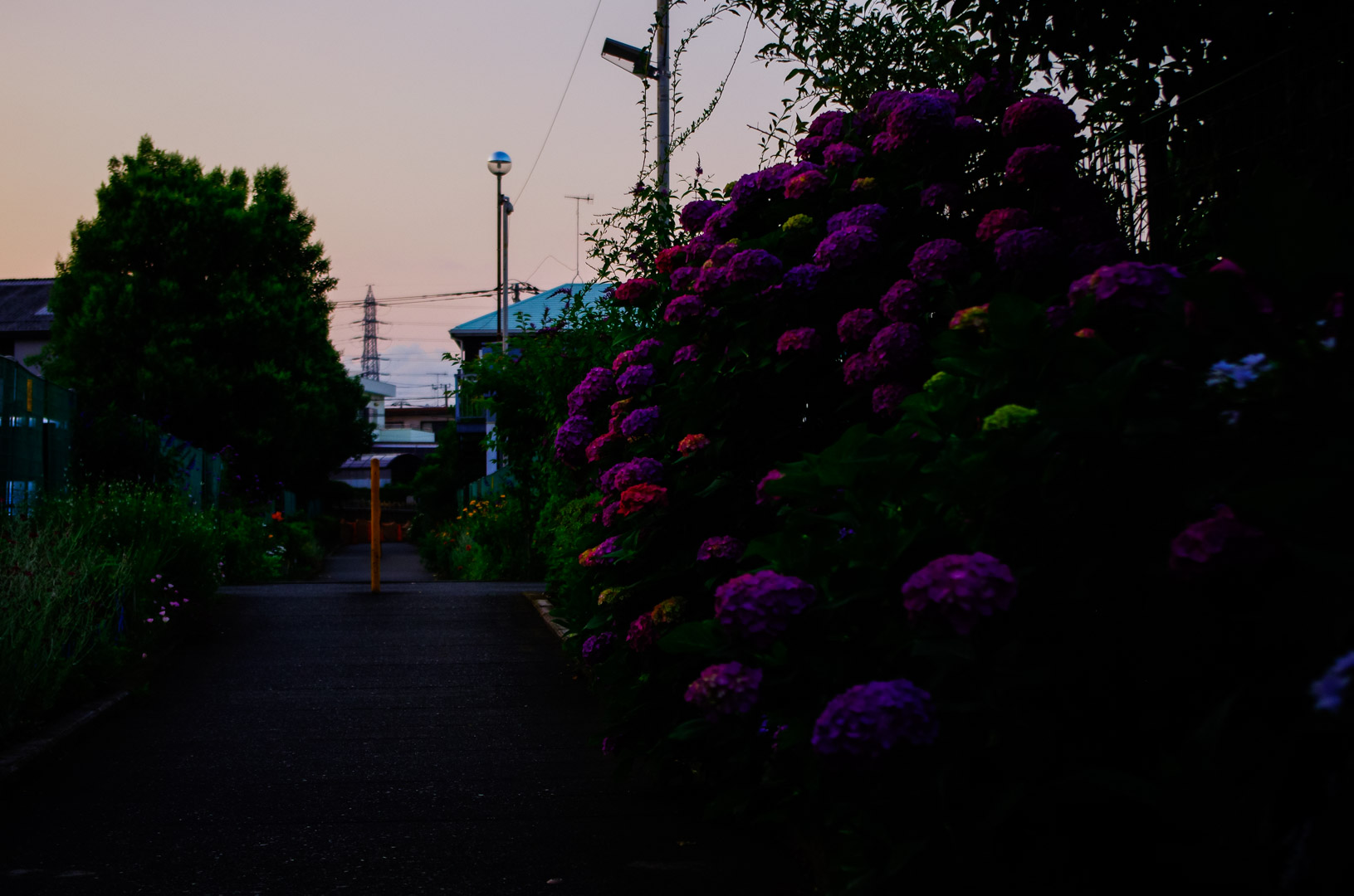 smc PENTAX-DA 18-55mmF3.5-5.6AL WR smc PENTAX-DA 18-55mmF3.5-5.6AL WR