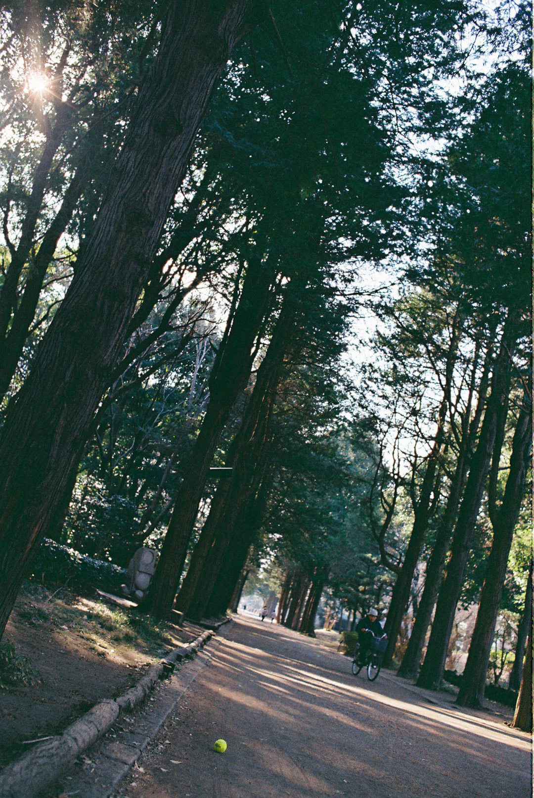 Kodak GOLD 200(色相と粒状感) Kodak GOLD 200(色相と粒状感)