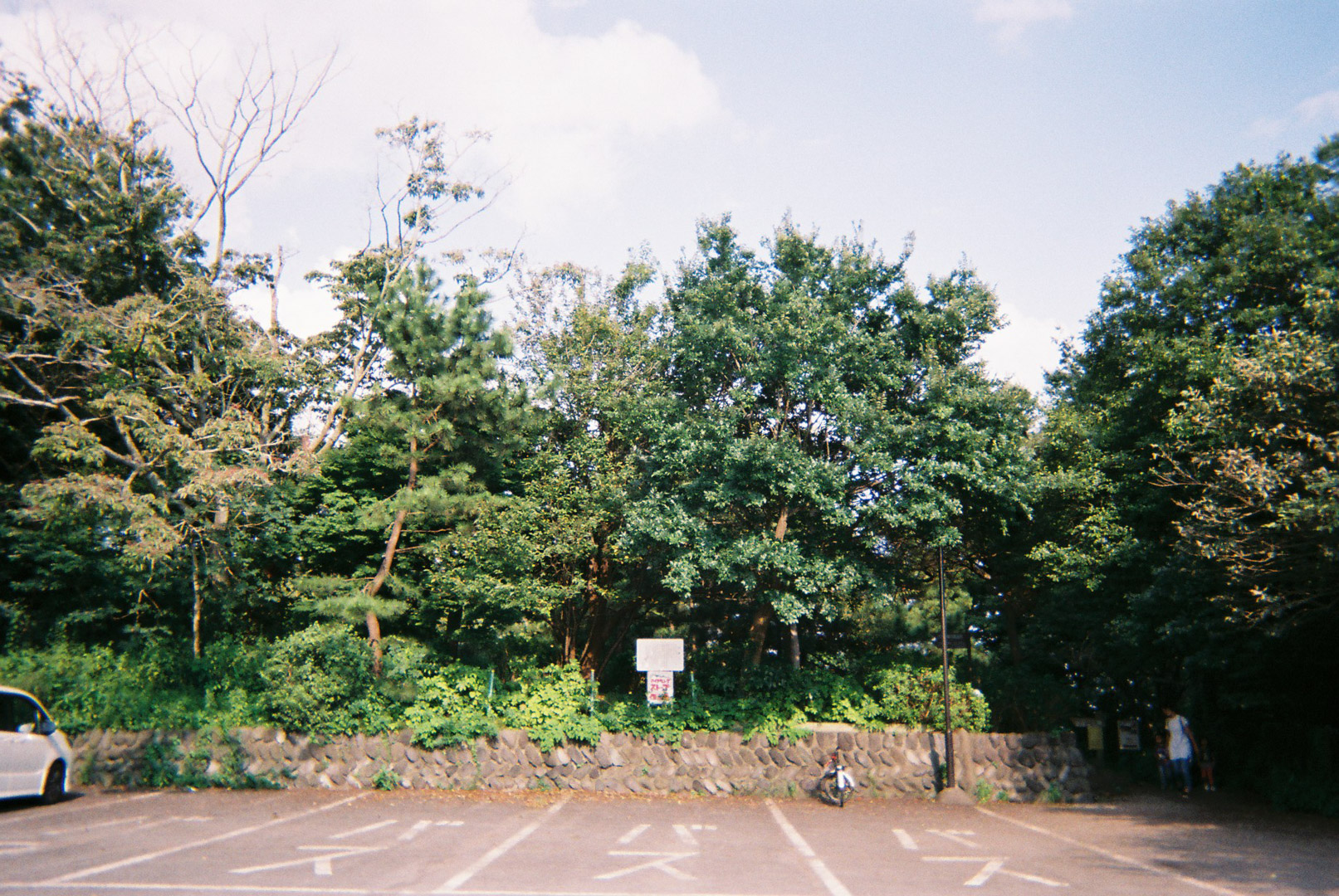 写ルンです『撮り方のコツ』 写ルンです『撮り方のコツ』