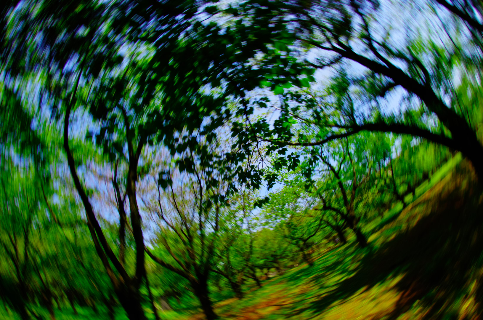 smc PENTAX-DA FISH-EYE 10-17mm F3.5-4.5 smc PENTAX-DA FISH-EYE 10-17mm F3.5-4.5