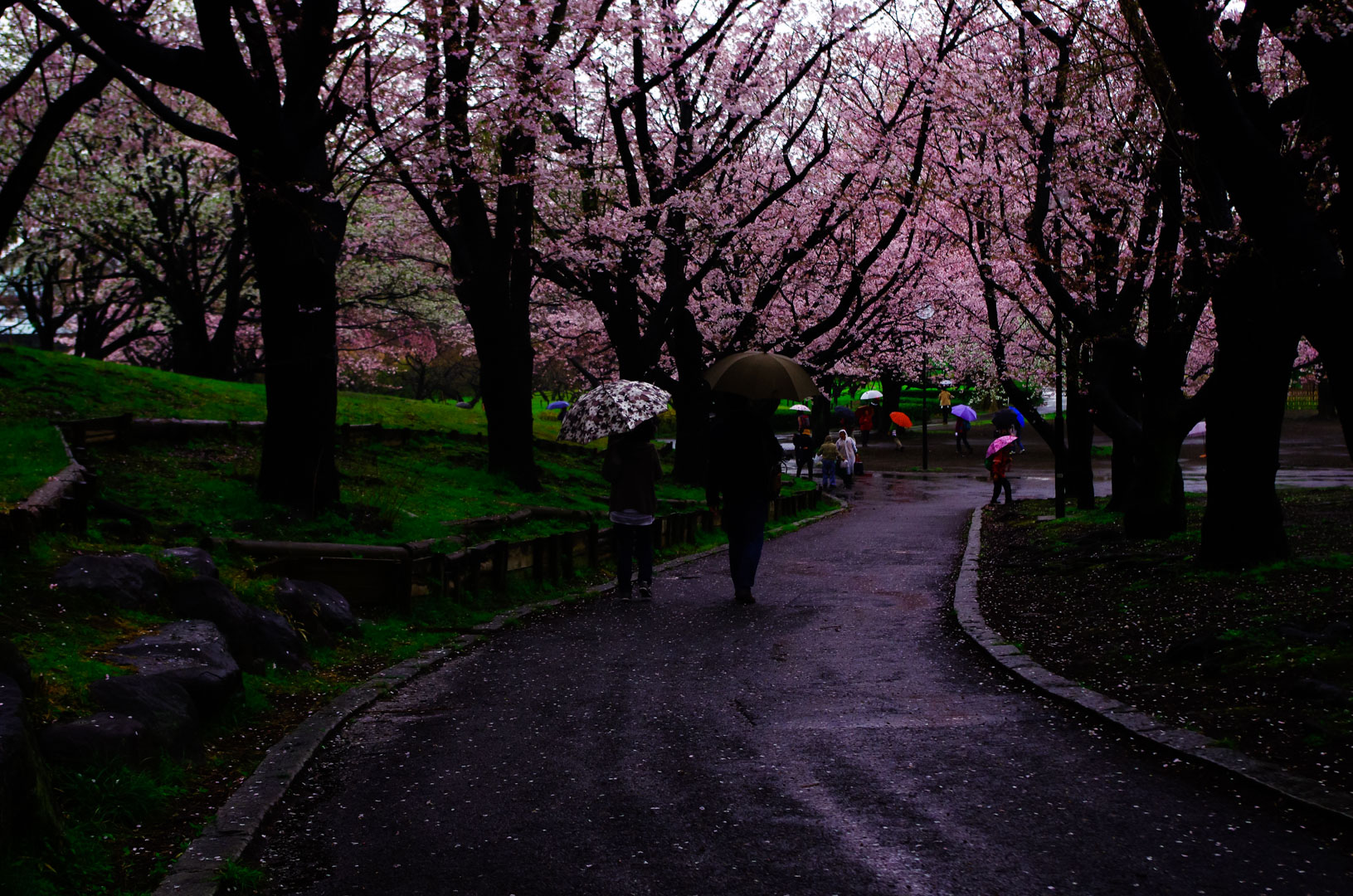 PENTAX K-5ii PENTAX K-5ii