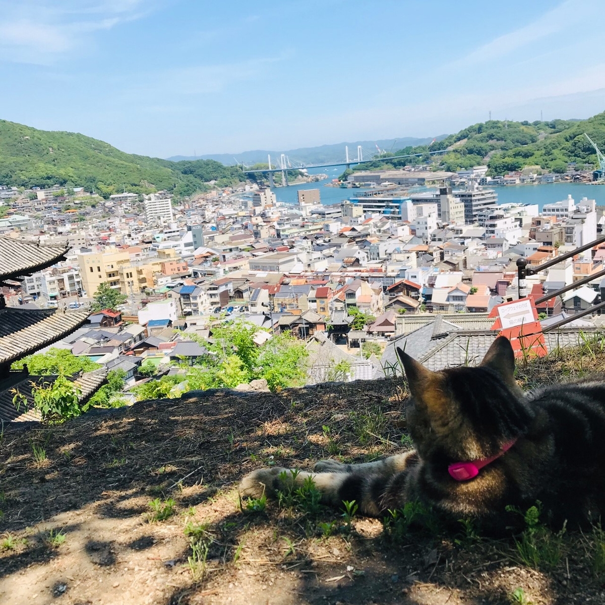 f:id:minotake1106:20190630230155j:plain f:id:minotake1106:20190630230155j:plain