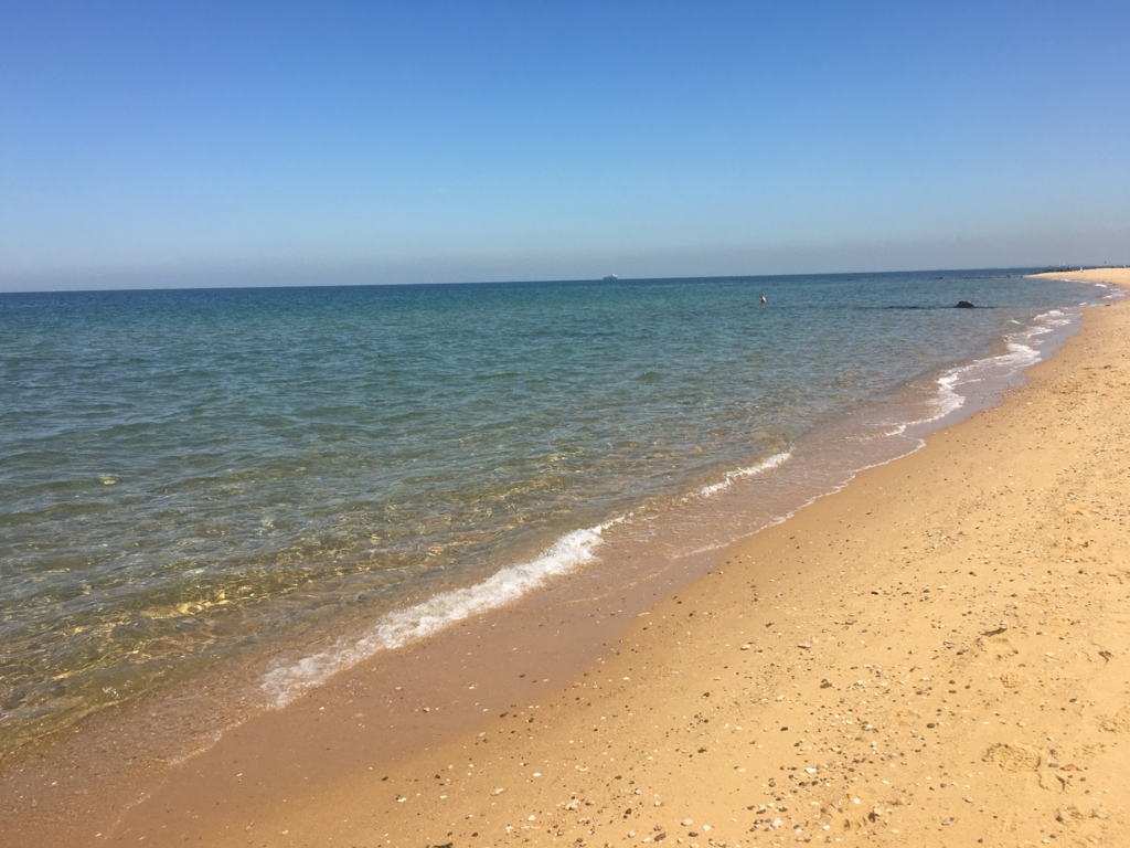 f:id:minoustralia:20180210115951j:plain