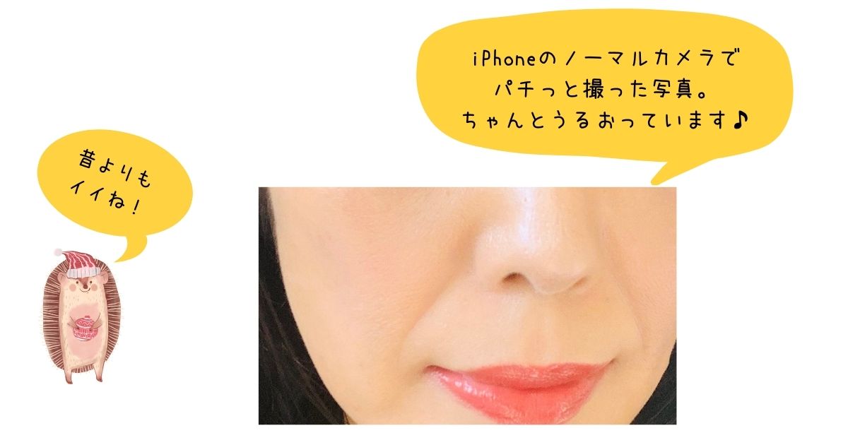 f:id:mint-room:20210527100802j:plain