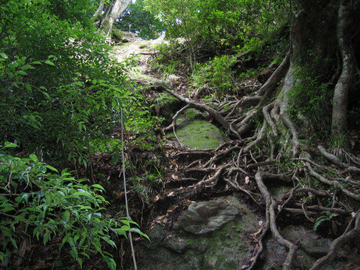 f:id:mint0606:20100806212932j:image