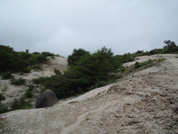 f:id:mint0606:20100815174216j:image f:id:mint0606:20100815174216j:image