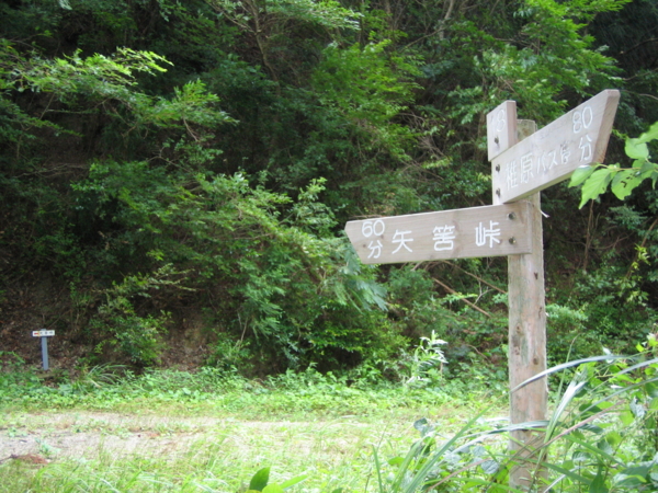 f:id:mint0606:20100815174249j:image f:id:mint0606:20100815174249j:image