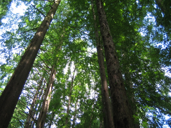 f:id:mint0606:20100815180338j:image f:id:mint0606:20100815180338j:image