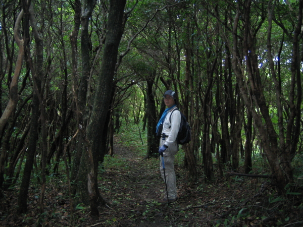 f:id:mint0606:20100815180406j:image f:id:mint0606:20100815180406j:image