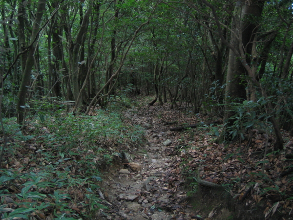 f:id:mint0606:20100816070818j:image f:id:mint0606:20100816070818j:image