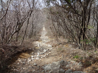 f:id:mint0606:20110417193439j:image