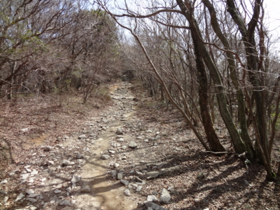 f:id:mint0606:20110417193522j:image