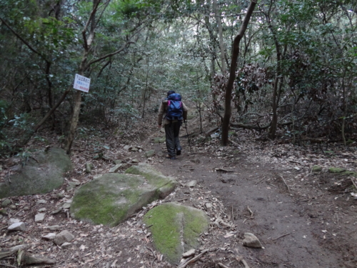 f:id:mint0606:20120129155015j:image f:id:mint0606:20120129155015j:image