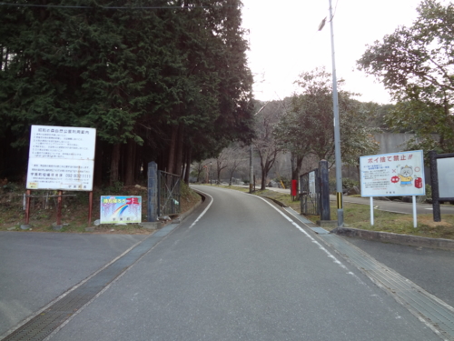 f:id:mint0606:20120129155040j:image f:id:mint0606:20120129155040j:image