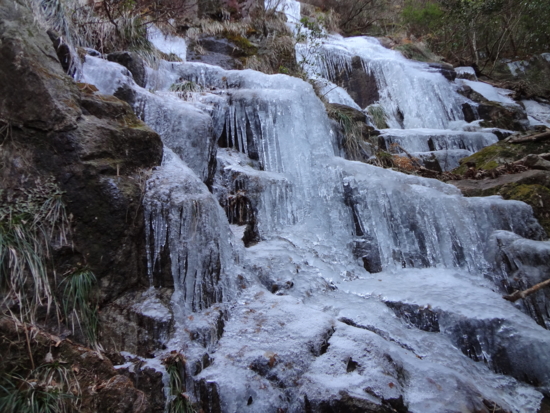 f:id:mint0606:20120129160303j:image f:id:mint0606:20120129160303j:image