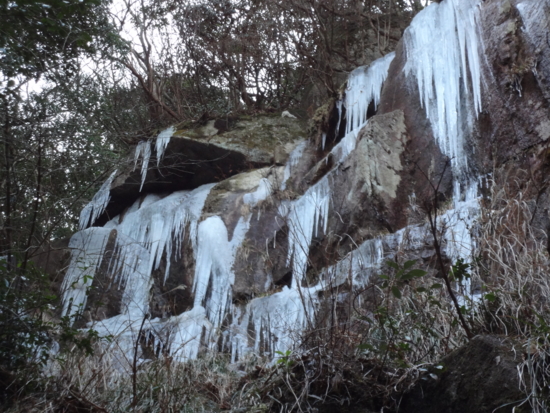 f:id:mint0606:20120129160325j:image f:id:mint0606:20120129160325j:image