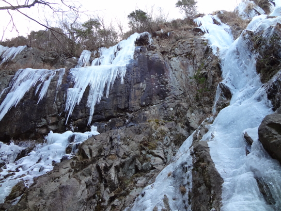 f:id:mint0606:20120129160912j:image f:id:mint0606:20120129160912j:image