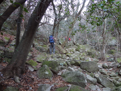 f:id:mint0606:20120129161517j:image f:id:mint0606:20120129161517j:image