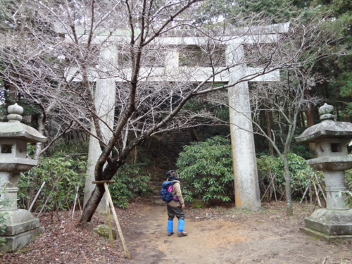 f:id:mint0606:20120226172506j:image