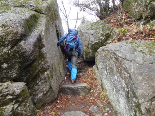 f:id:mint0606:20120226174415j:image