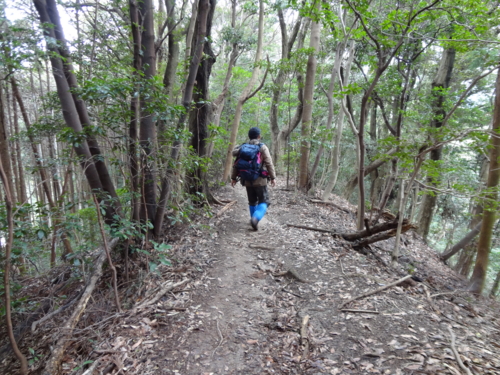 f:id:mint0606:20120226175654j:image:right