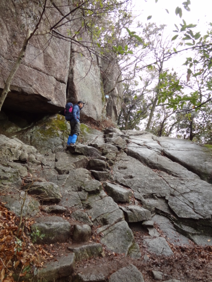 f:id:mint0606:20120226181226j:image