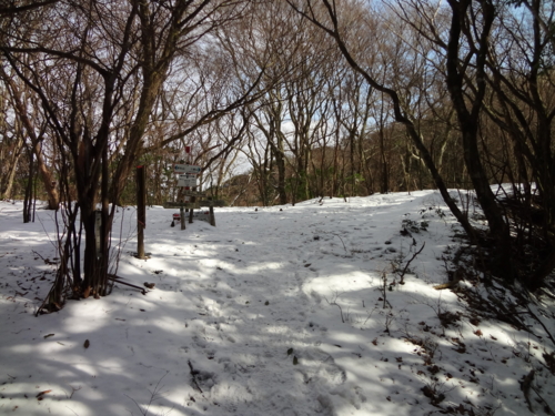 f:id:mint0606:20130106222056j:image f:id:mint0606:20130106222056j:image