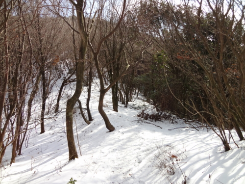 f:id:mint0606:20130106222603j:image f:id:mint0606:20130106222603j:image