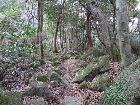 f:id:mint0606:20130106224026j:image f:id:mint0606:20130106224026j:image