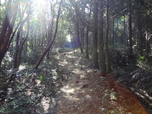 f:id:mint0606:20130923213709j:image