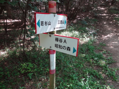 f:id:mint0606:20130925184837j:image