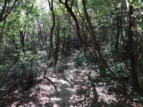 f:id:mint0606:20130925194756j:image