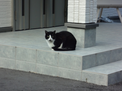 f:id:mint0606:20130925221733j:image
