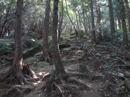 f:id:mint0606:20130928070440j:image