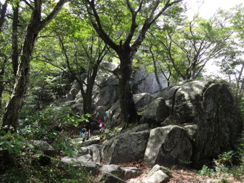 f:id:mint0606:20140914173847j:image