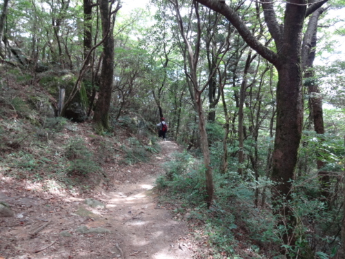 f:id:mint0606:20140914175413j:image