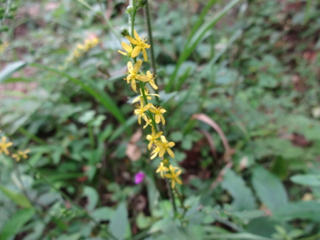 f:id:mint0606:20140914180603j:image