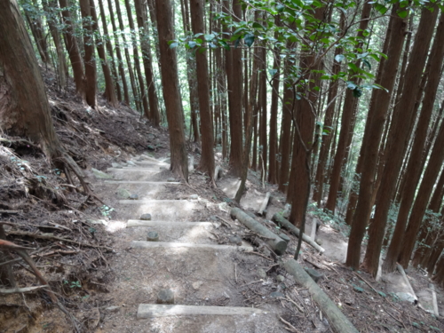 f:id:mint0606:20140914180935j:image