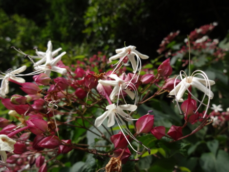 f:id:mint0606:20140914181951j:image